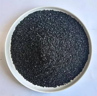 Charbon actif de coque de noix de coco pour la purification de l'eau : facilitant l'amélioration de la qualité du traitement de l'eau.